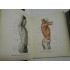 ATLAS DE ANATOMIE UMANA - SINELNIKOV - Volumele 1 si 2 - in limba spaniola